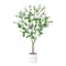 5ft. Enkianthus Tree in White Decorative Planter